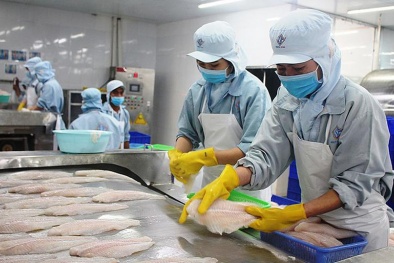 Đẩy mạnh truy xuất nguồn gốc với xuất khẩu thủy sản năm 2021