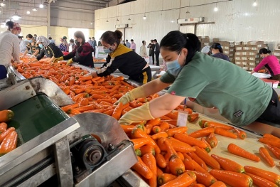 Đừng để nội thương ách tắc