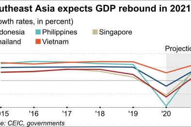‘Tăng trưởng của Việt Nam sẽ tiếp tục dẫn đầu Đông Nam Á’