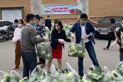 Tổng cục Tiêu chuẩn Đo lường Chất lượng chung tay giải cứu nông sản Hải Dương