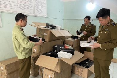 550 đôi giày nữ nhập lậu bị 'tóm gọn'