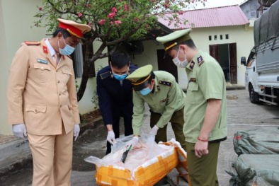 Dùng biển số xe giả để vận chuyển nầm lợn đông lạnh đã có hiện tượng chuyển màu
