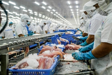 Triển khai hỗ trợ doanh nghiệp nâng cao năng suất và chất lượng sản phẩm, hàng hóa 