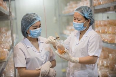  Công ty Cổ phần Dược Thảo Thiên Phúc: Nâng cao chất lượng, khẳng định uy tín trên thị trường