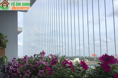 Thị trường lưới an toàn 'được mùa' sau vụ cháu bé 3 tuổi tai nạn tại chung cư