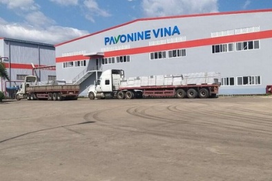 Vì sao Công ty TNHH Pavonine Vina bị phạt 300 triệu đồng?