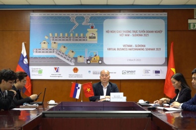 Việt Nam - Slovenia xúc tiến hợp tác kinh doanh và đầu tư trong lĩnh vực cơ khí