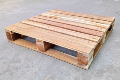 Kiểm dịch thực vật đối với pallet gỗ theo quy chuẩn nào?