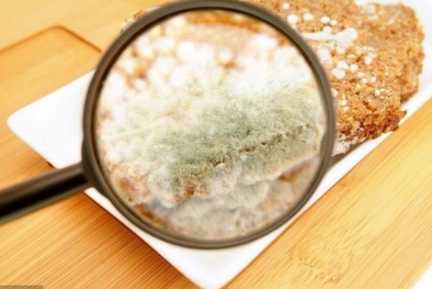 Thực phẩm nhiễm nấm mốc -'thủ phạm' gây ung thư hàng đầu