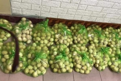 Trứng gà trượt giá kỷ lục, tiểu thương khóc ròng