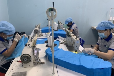 Doanh nghiệp dệt may tập trung phát triển thị trường nội địa