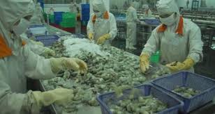 Lo ngại nguy cơ gian lận, giả mạo xuất xứ hàng hóa 