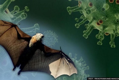 Xuất hiện virus mới giống SARS-CoV-2 tới gần 95% 