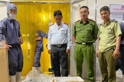 Phát hiện cơ sở bơm tạp chất vào tôm: Người dùng cần cảnh giác khi lựa chọn tôm