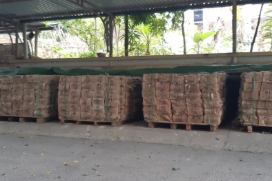 Thu giữ 20 tấn gạch ốp lát nghi nhập lậu: Người tiêu dùng cần cảnh giác