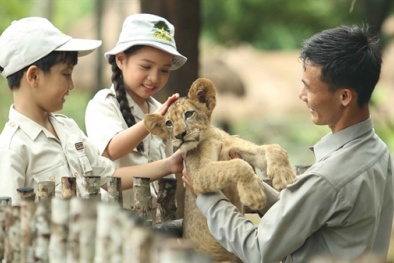 Vingroup sắp ra mắt 'thành phố không ngủ' hàng đầu khu vực