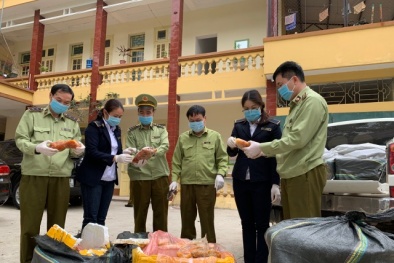 Thu mua trôi nổi thịt viên đông lạnh, trứng gia cầm non về tiêu thụ tại các tỉnh