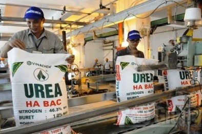 Tăng cường sản xuất, cung ứng phân bón tại thị trường nội địa