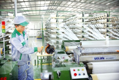 Tiếp tục tạo môi trường kinh doanh công bằng, thuận lợi thúc đẩy phát triển kinh tế tư nhân