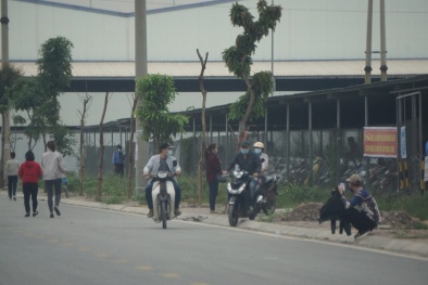 Công ty Eastech ở Hải Dương bị phạt do hoạt động 'chui'