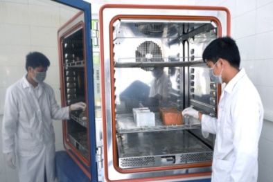 Đẩy mạnh xã hội hóa hoạt động đánh giá sự phù hợp