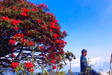 Sun World Fansipan Legend - Nâng tầm du lịch từ 'đặc sản' thiên nhiên 