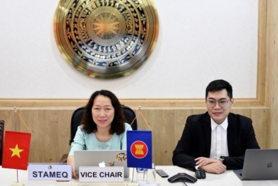 Cuộc họp lần thứ 31 của Nhóm công tác cao su và các sản phẩm cao su ASEAN (RBPWG)
