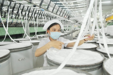 Tận dụng quy tắc xuất xứ tại Hiệp định RCEP