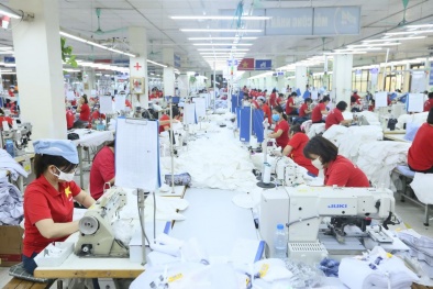 Cảnh báo về sắc lệnh quản lý ghi nhãn các sản phẩm dệt của Đan Mạch