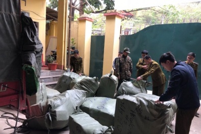 Dùng xe mô tô 3 bánh không biển kiểm soát vận chuyển hàng hóa nhập lập