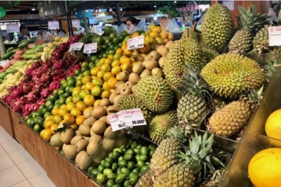 Tiềm năng xuất khẩu hàng Việt qua kênh thương mại điện tử của Singapore 