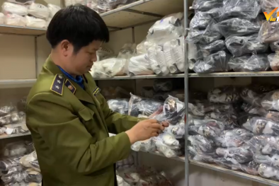 Triệt phá kho hàng chứa hàng vạn sản phẩm giày dép giả nhãn hiệu nổi tiếng