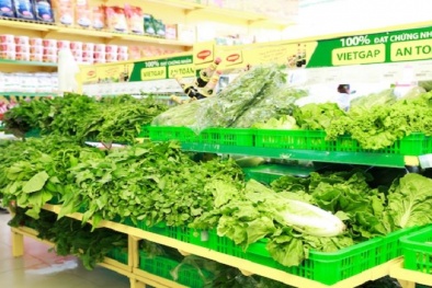 Xuất khẩu rau quả: Cần tiếp tục nâng cao chất lượng sản phẩm