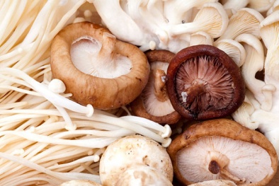 Những điều tuyệt đối không nên khi chế biến và ăn nấm