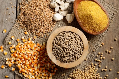 Ghi nhãn thức ăn chăn nuôi nhập khẩu theo quy định nào? 