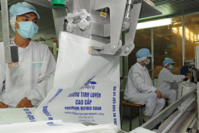 ‘Nghịch lý’ của ngành mía đường 