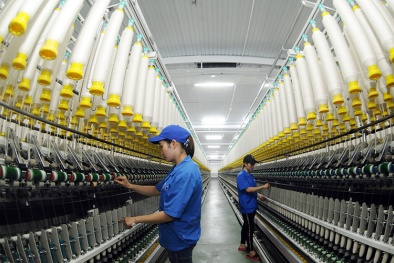 Sản xuất trong nước đang trên đà phục hồi