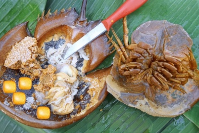 Ăn sam biển người phụ nữ bị tức ngực, khó thở phải nhập viện khẩn cấp