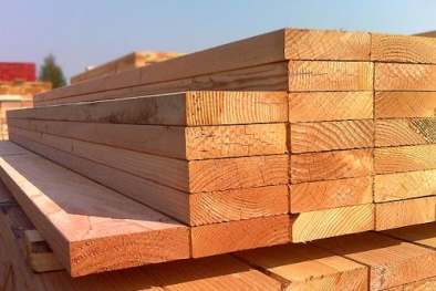 Đẩy mạnh truy xuất nguồn gốc đối với ngành chế biến, xuất khẩu gỗ và lâm sản