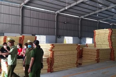 Phát hiện công ty TNHH Vườn Xanh Bình Dương sản xuất nệm giả