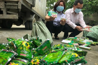 Hà Nội: Vi phạm sản xuất, kinh doanh nông nghiệp, nhiều cá nhân tổ chức bị phạt gần 400 triệu