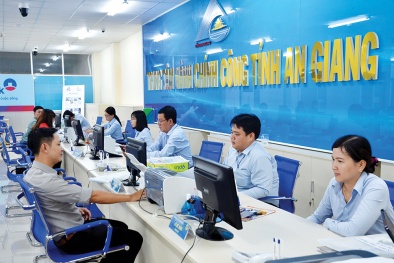 An Giang: Hỗ trợ xây dựng và chuyển đổi áp dụng HTQLCL theo ISO 9001:2015 trên địa bàn tỉnh