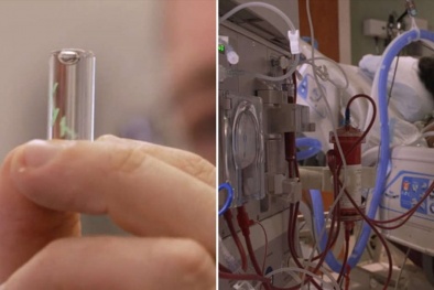 Chế tạo thành công vi mạch có khả năng phát hiện COVID-19 