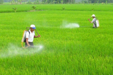 Từ ngày 1/6, vi phạm về quảng cáo thuốc bảo vệ thực vật có thể bị phạt đến 40 triệu đồng
