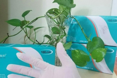 Cảnh báo vấn nạn buôn bán găng tay y tế không rõ nguồn gốc trên chợ mạng 