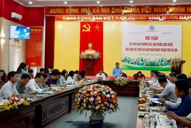Hà Nội: Kết nối tiêu thụ sản phẩm làng nghề, thủ công và sản phẩm OCOP