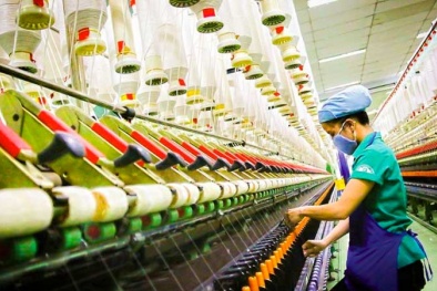 Nâng cao hiệu quả triển khai dự án NSCL tại doanh nghiệp