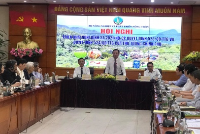 Phát triển lâm nghiệp bền vững trên cơ sở cân bằng giữa kinh tế, xã hội và môi trường
