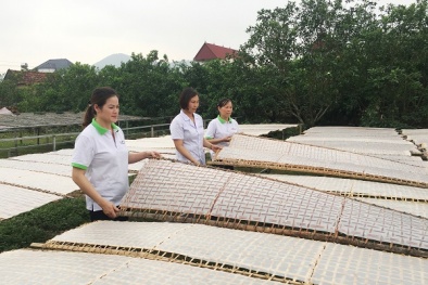 Phát triển tài sản trí tuệ: Đặt doanh nghiệp vào vị trí trung tâm