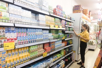 Thị trường bán lẻ Việt Nam – cuộc sàng lọc khốc liệt